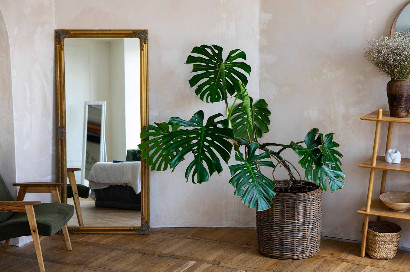decorar-amb-plantes-consells-per-a-embellir-la-teva-llar